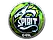 Sticker | Team Spirit (Foil) | Katowice 2019