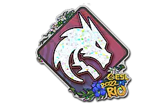 Sticker | Team Spirit (Glitter) | Rio 2022