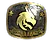 Sticker | Team Spirit (Gold) | Austin 2025