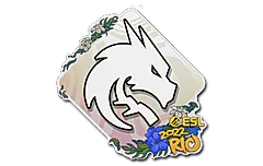 Sticker | Team Spirit | Rio 2022