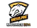 Sticker | Virtus.Pro | Katowice 2014