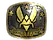 Sticker | Vitality (Gold) | Austin 2025