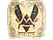 Sticker | Vitality | Austin 2025