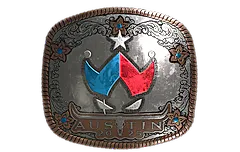 Sticker | Wildcard (Foil) | Austin 2025