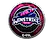 Sticker | Winstrike Team (Foil) | Katowice 2019