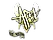 Sticker | apEX (Gold) | Paris 2023