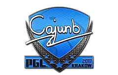 Sticker | cajunb | Krakow 2017