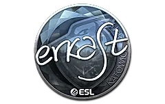 Sticker | erkaSt (Foil) | Katowice 2019