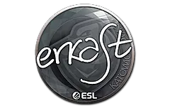 Sticker | erkaSt | Katowice 2019