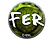Sticker | fer (Foil) | Katowice 2019