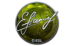 Sticker | flamie (Foil) | Katowice 2019