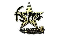 Sticker | floppy (Gold) | Antwerp 2022