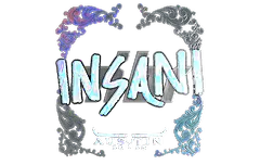 Sticker | insani (Holo) | Austin 2025