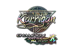 Sticker | karrigan (Holo, Champion) | Antwerp 2022