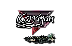 Sticker | karrigan | Antwerp 2022