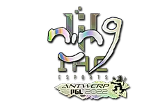 Sticker | nin9 (Holo) | Antwerp 2022