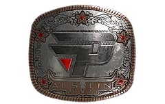 Sticker | paiN Gaming (Foil) | Austin 2025