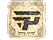 Sticker | paiN Gaming | Austin 2025