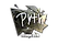 Sticker | pyth (Foil) | Cologne 2016