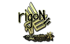 Sticker | rigoN (Gold) | Antwerp 2022