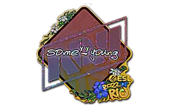 Sticker | sdy (Glitter) | Rio 2022