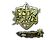 Sticker | shalfey (Gold) | Antwerp 2022