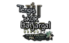 Sticker | sk0R | Antwerp 2022