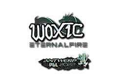 Sticker | woxic (Glitter) | Antwerp 2022