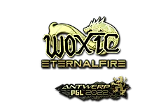Sticker | woxic (Gold) | Antwerp 2022