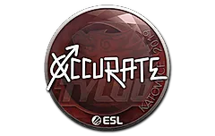 Sticker | xccurate | Katowice 2019