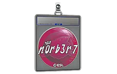 Sticker Slab | n0rb3r7 | Katowice 2019