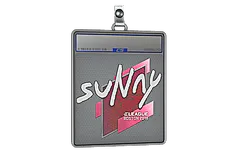 Sticker Slab | suNny | Boston 2018