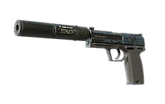 USP-S | Guardian