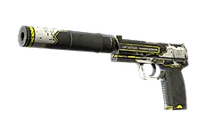 USP-S | Torque