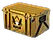 Winter Offensive Weapon Case