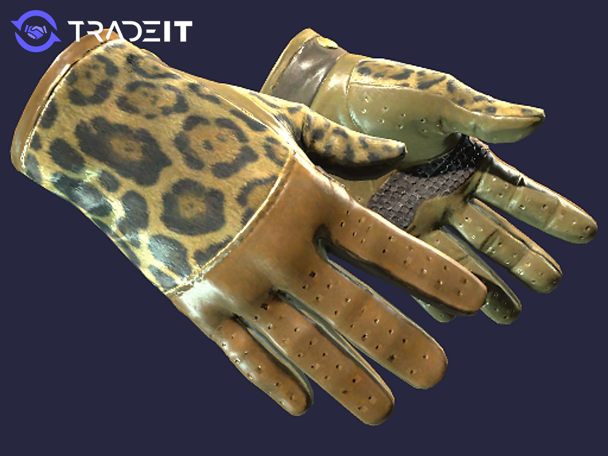 ☆ Driver Gloves Queen Jaguar ☆ Price Insights Tradeit