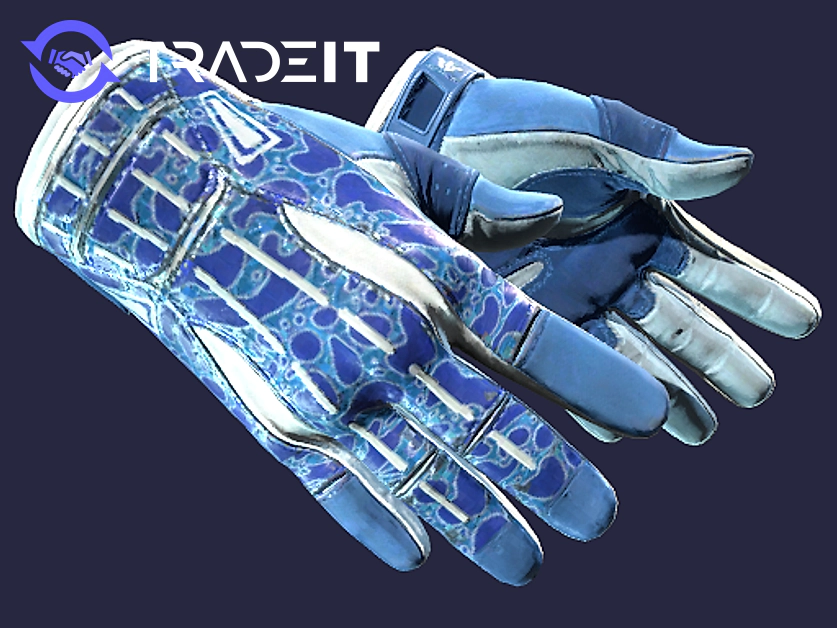 ☆ Sport Gloves Amphibious ☆ Price Insights Tradeit