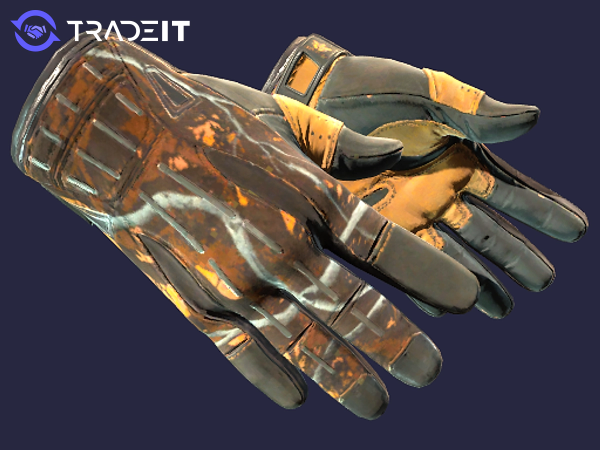 ☆ Sport Gloves Big Game ☆ Price Insights Tradeit