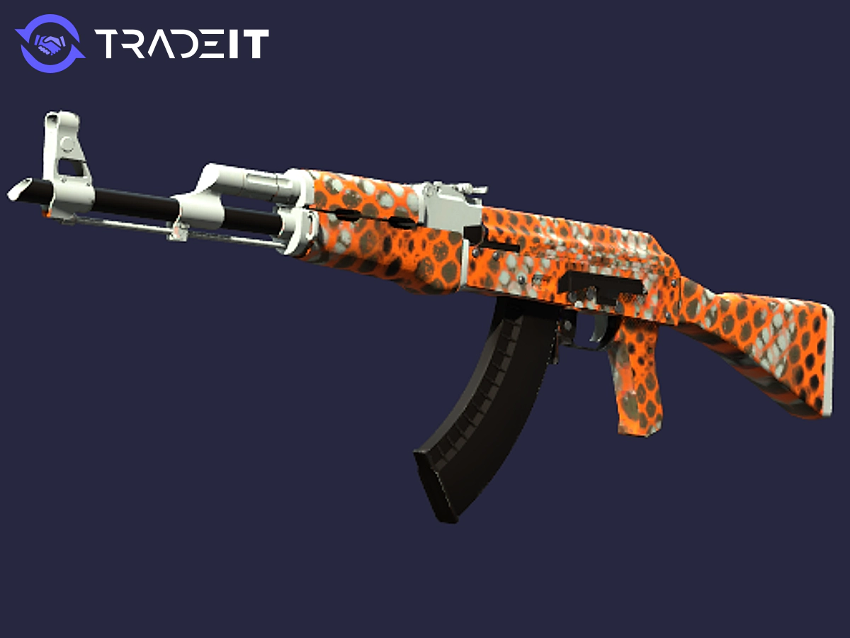 AK-47 | Safety Net  Price & Insights | Tradeit